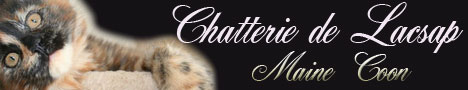 BanniereLacsap.jpg