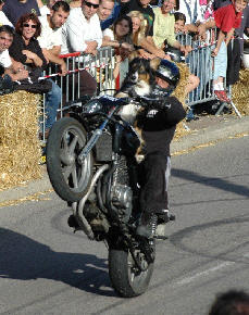 wp0edeac79.jpg