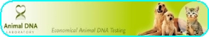 DNA.jpg