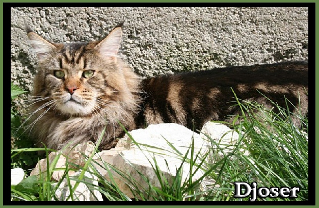An-Djoser